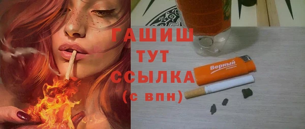 СК Алексин