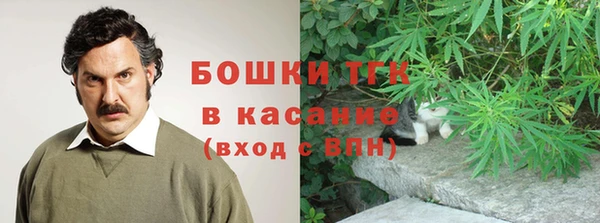 СК Алексин