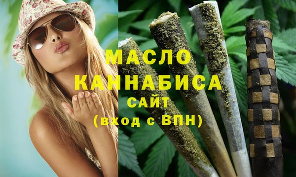 СК Алексин