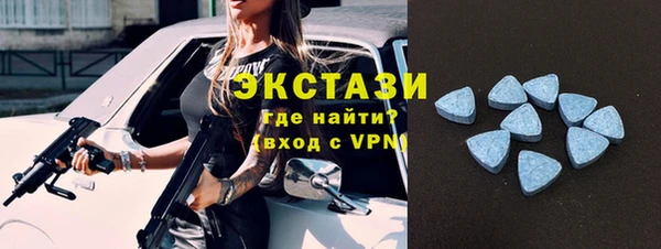 СК Алексин
