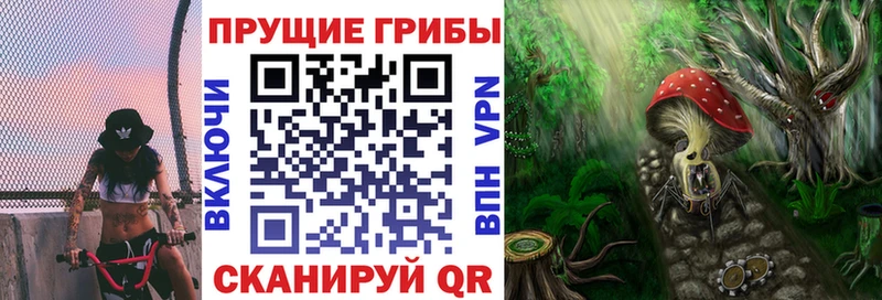 Псилоцибиновые грибы Cubensis  mega ссылки  Каневская 