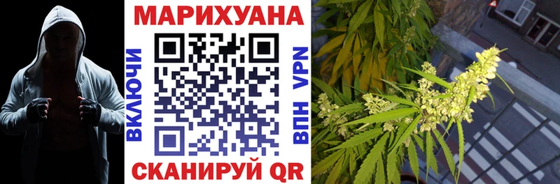 Конопля семена  Каневская 